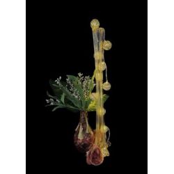 Mille et une nuits 1