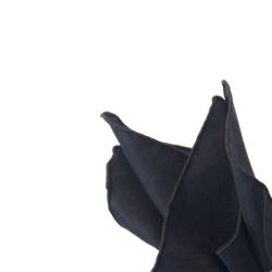 Serviette de table noire