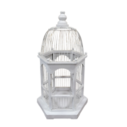 Cage  oiseau blanche pour carte